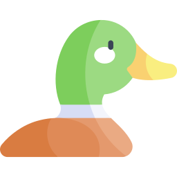 Duck icon