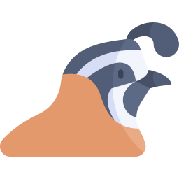 Quail icon