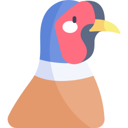 Pheasant icon