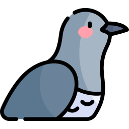 Common cuckoo icon