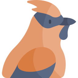 Bohemian waxwing icon