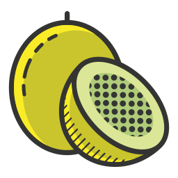 Passion fruit icon