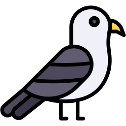 Gull icon