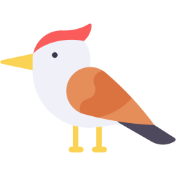 Woodpecker icon