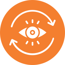 Vision icon