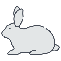 Rabbit icon