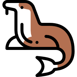 Sea lion icon