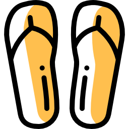 flip flops icon