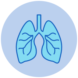 Lungs icon