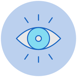 Eyes icon