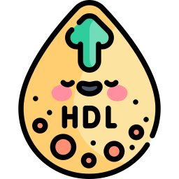 hdl icona