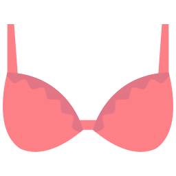 Bra icon