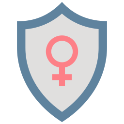 shield icon