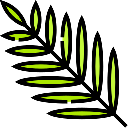 Palm icon