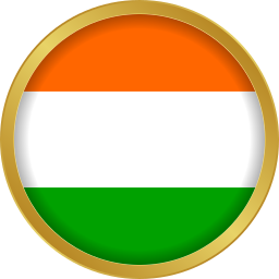 niger icon