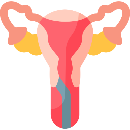 endometrium Special Flat icon