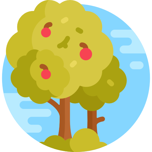 Apple tree Detailed Flat Circular Flat icon