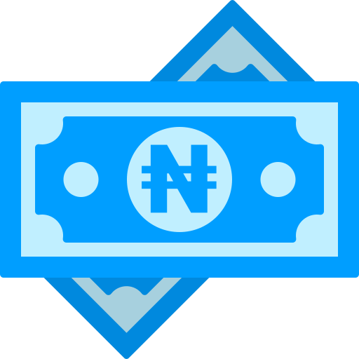 naira Generic color fill icon