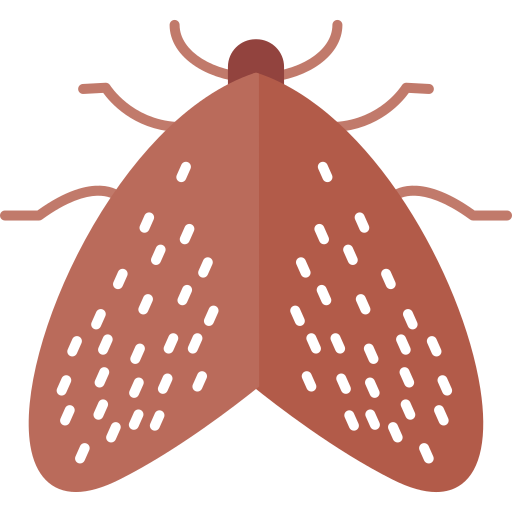 Insect Generic color fill icon