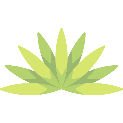 Agave Special Flat icon