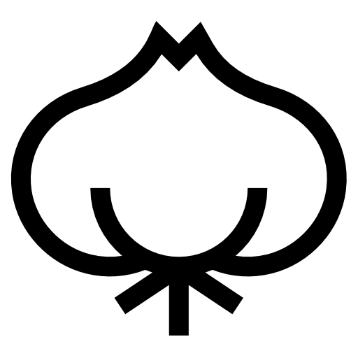 cebula Basic Straight Lineal ikona