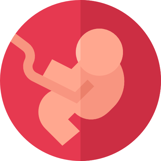 Embryo Basic Straight Flat icon