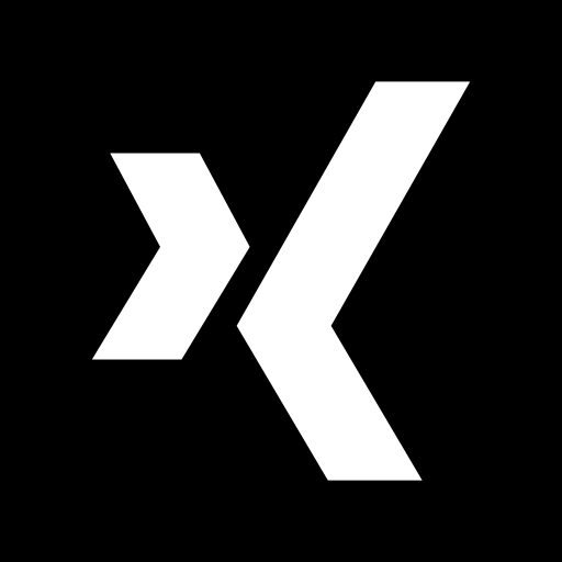 Xing  icon