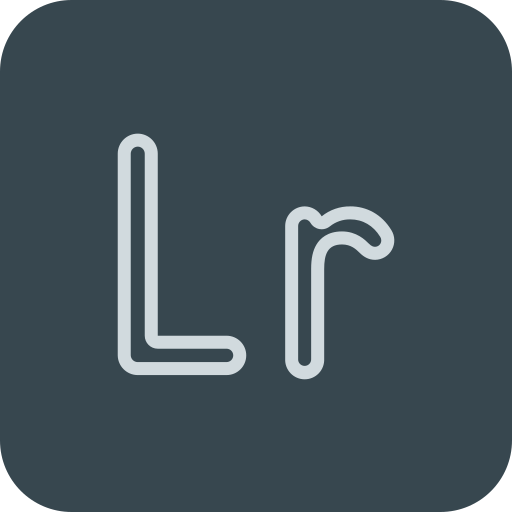 lr Generic color fill icon