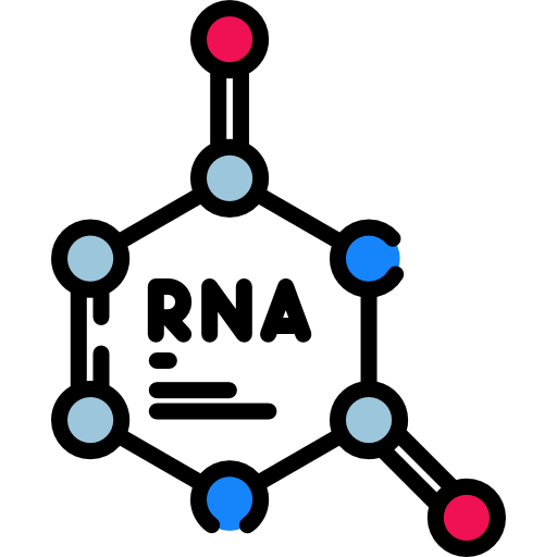 rna Special Lineal color icon