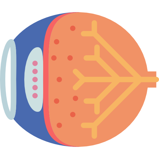 눈 Basic Miscellany Flat icon