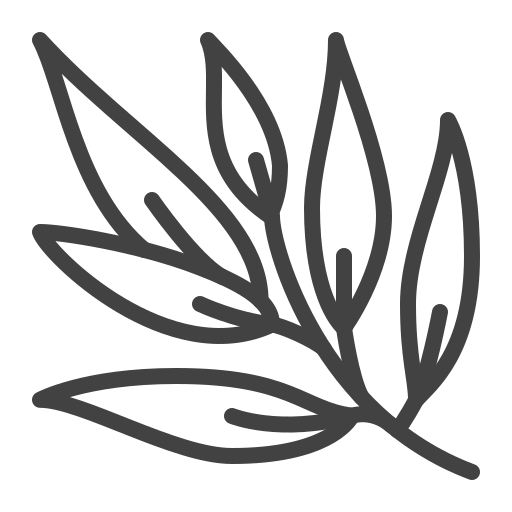 植物 Generic outline icon