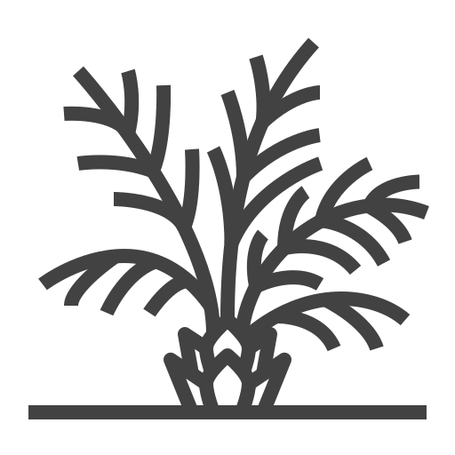 植物 Generic outline icon