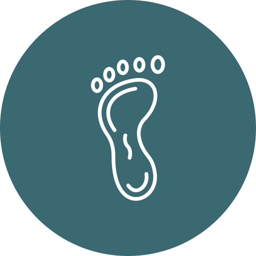 Foot Generic color fill icon