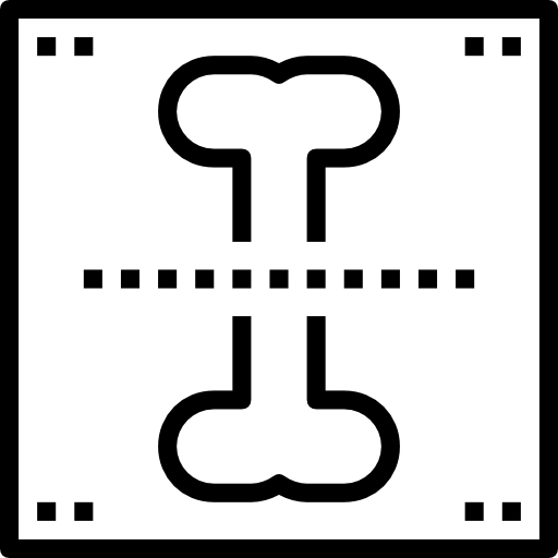 rayons x Accurate Lineal Icône
