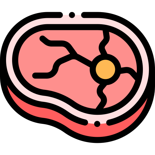 steak Detailed Rounded Lineal color icon