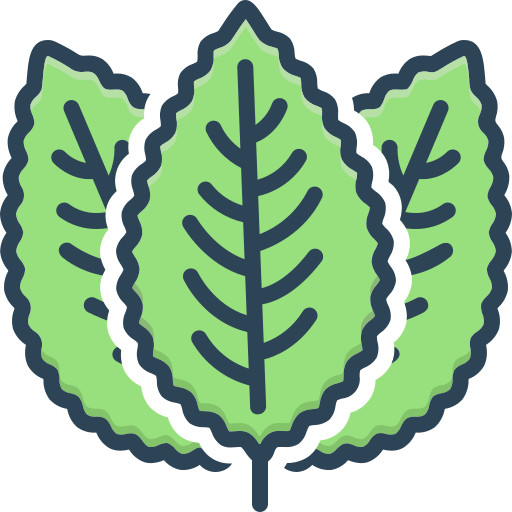 Leaves Generic color lineal-color icon