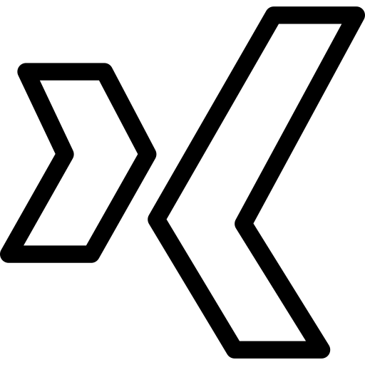 xing Detailed Straight Lineal Ícone