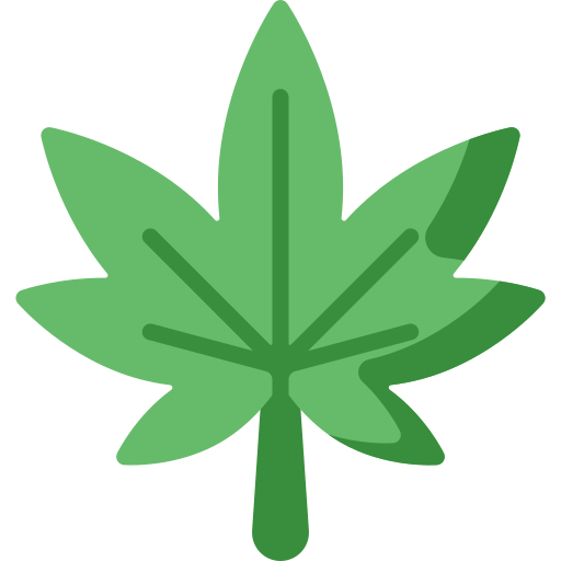 cannabis Special Flat icon