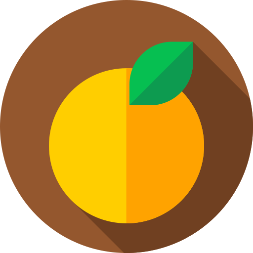 orange Flat Circular Flat icon