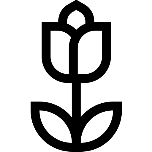 tulipano Basic Straight Lineal icona