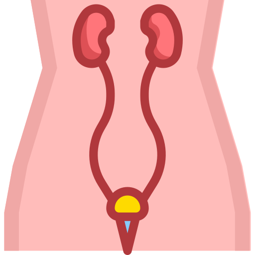 Urology PMICON Flat icon