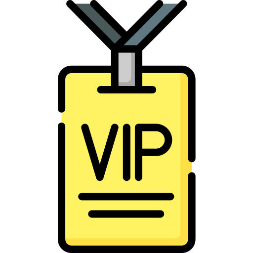 vip Special Lineal color icon