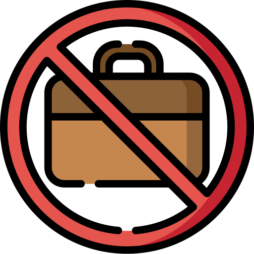 No bag Special Lineal color icon