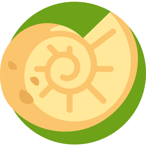 化石 Detailed Flat Circular Flat icon