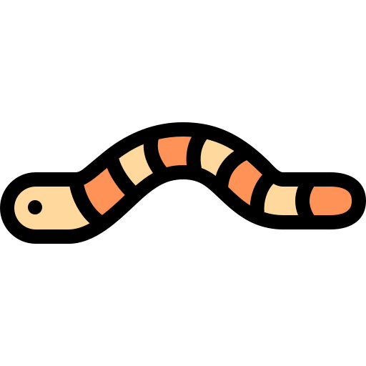 raupe Detailed Rounded Lineal color icon