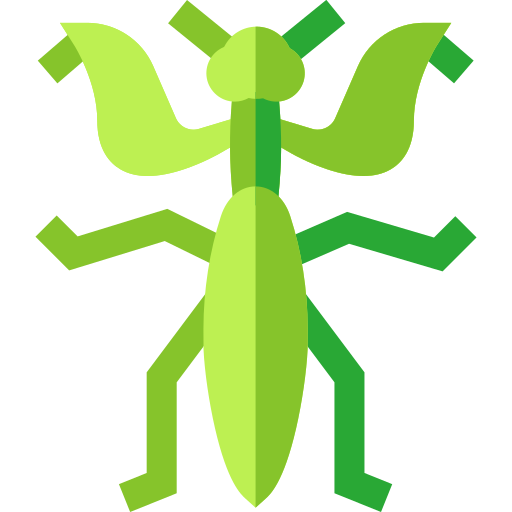 Mantis Basic Straight Flat icon