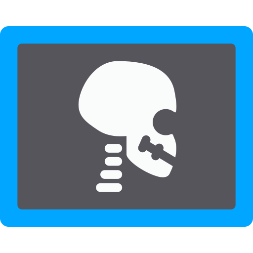 X ray Berkahicon Flat icon