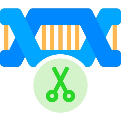 dna Berkahicon Flat icon