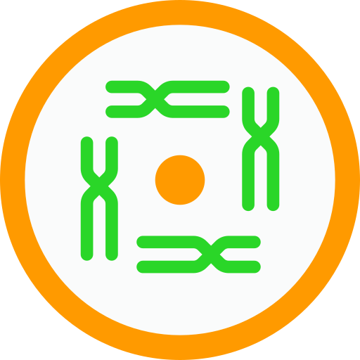 dna Berkahicon Flat icon