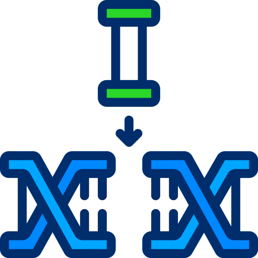 dna Berkahicon Lineal Color icon